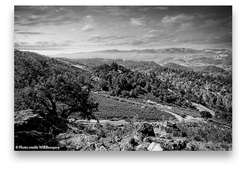 property view on Howell Mountain