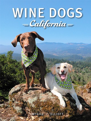 Wine Dogs California 3