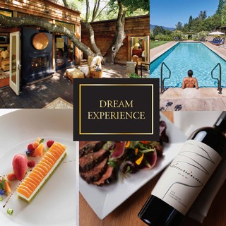 Dream Experience